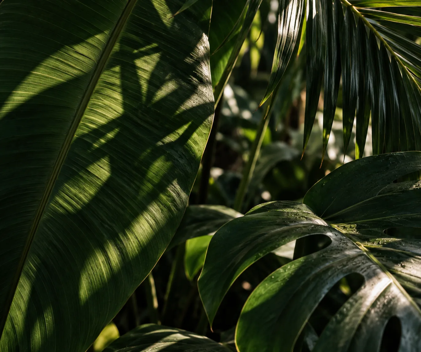 Tropical leaves and natural texture for a visual identity article